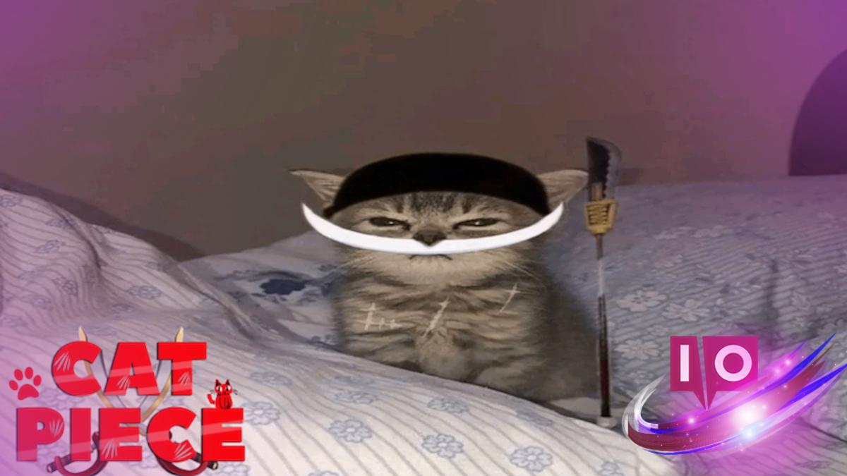 Cat Piece Codes – June 2025: BERU & KAISEL Unlocks 5 Cat Piece Codes – June 2025: BERU & KAISEL Unlocks