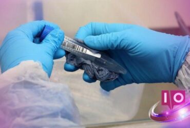 FDA Unveils Generative-AI Tool Elsa Ahead of Schedule