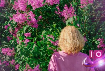Why Humans Outshine AI in Understanding Flowers 10 Why Humans Outshine AI in Understanding Flowers