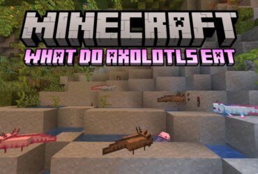 What Axolotls Eat in Minecraft: A Complete Guide 7 What Axolotls Eat in Minecraft: A Complete Guide