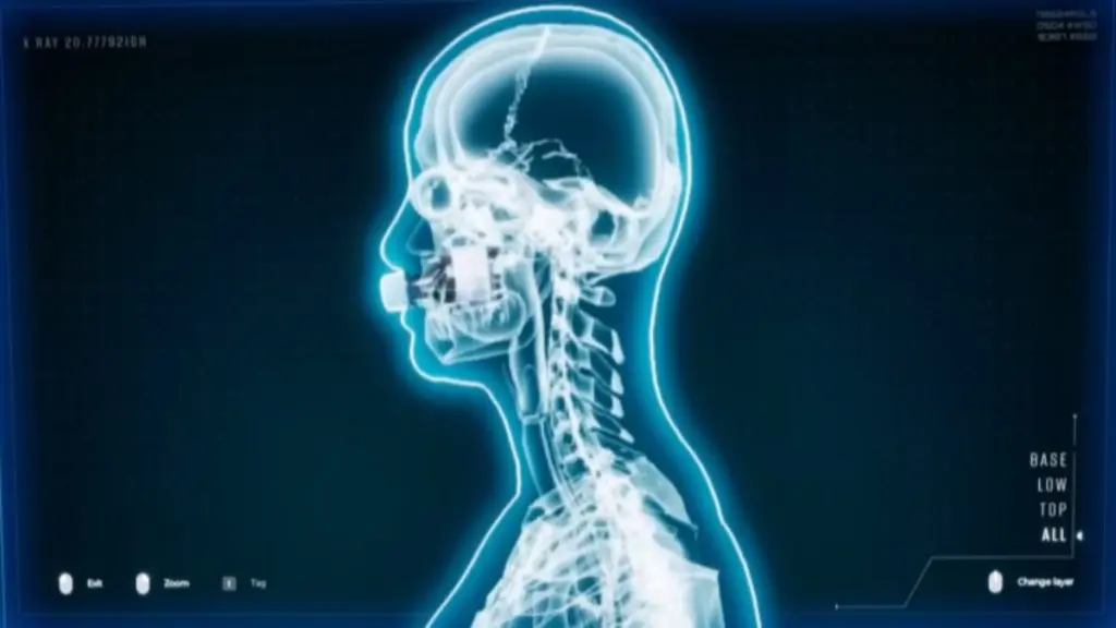 Quarantine Zone: Internal Contraband Explained 7 Pill bottle in the mouth, visible on the All layer X-Ray screen in The Last Check
