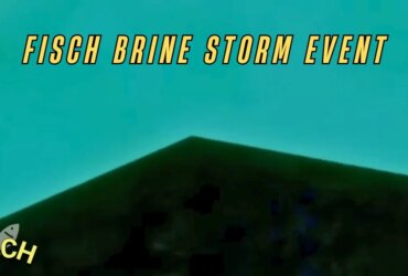 Fisch Brine Storm Guide: Event Tips & Tricks