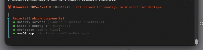 Clawdbot/MoltBot on Mac Mini: Setup Guide 12 Uninstall Clawdbot and all its features