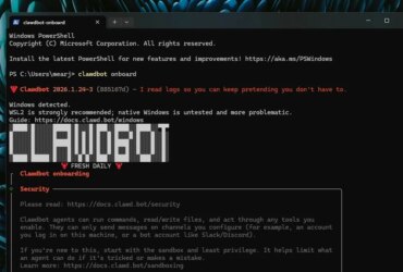 Clawdbot/MoltBot Setup Guide for Windows