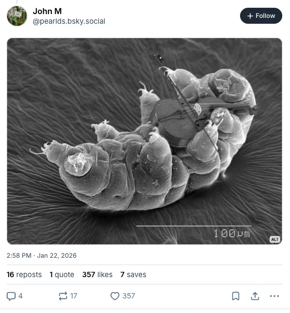 Professor’s ChatGPT “Deleted” Work: Internet Reacts 6 Screenshot of a Bluesky post dunking on a professor who used AI. It features a tardigrade playing a tiny violin.
