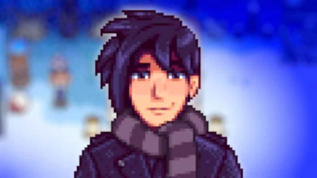 Ultimate Stardew Valley Romanceable Characters Tier List 8 Sebastian in stardew valley