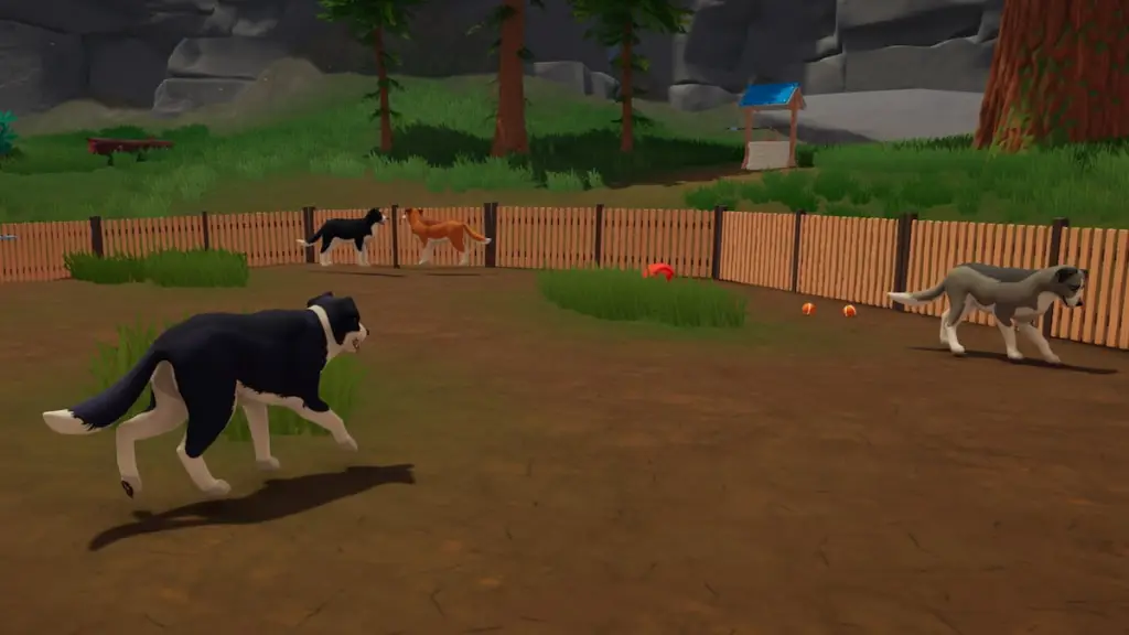 How to Get a Dog in Outbound: Step-by-Step Guide 8 Four dogs in outbound