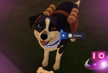 How to Get a Dog in Outbound: Step-by-Step Guide 18 How to Get a Dog in Outbound: Step-by-Step Guide