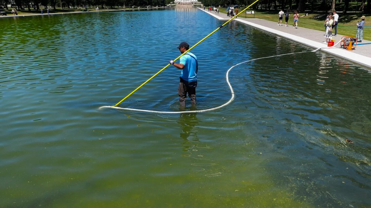 Trump Admin: Reflecting Pool Cleared of Algae by Nanobubbler Tech 5 Trump Admin: Reflecting Pool Cleared of Algae by Nanobubbler Tech