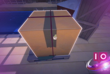 Cat Mail Co. Package Constraints: How to Store Them Correctly 5 Cat Mail Co. Package Constraints: How to Store Them Correctly