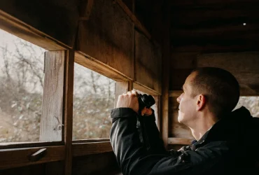 How AI Is Ruining Birdwatching: Risks to Wildlife and Hobbyists 5 How AI Is Ruining Birdwatching: Risks to Wildlife and Hobbyists